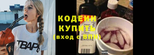 дживик Кинешма