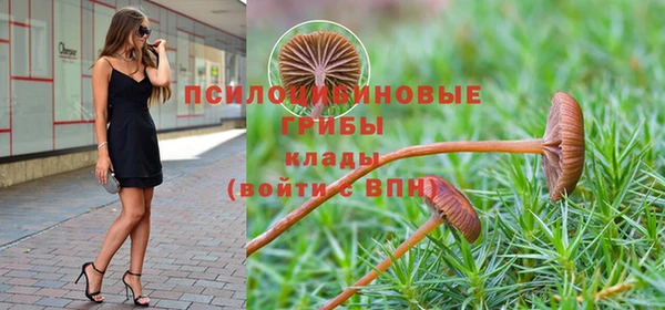 соль ск Карпинск