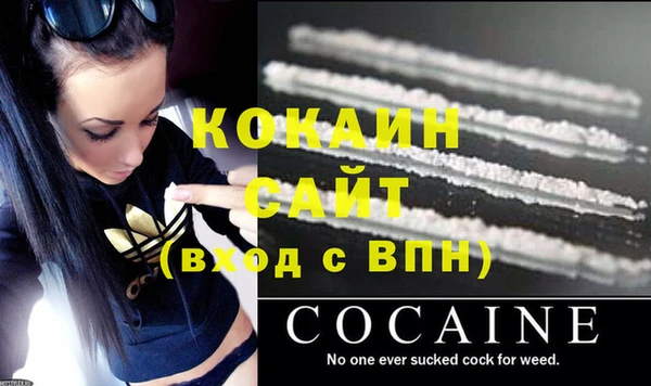 дживик Кинешма