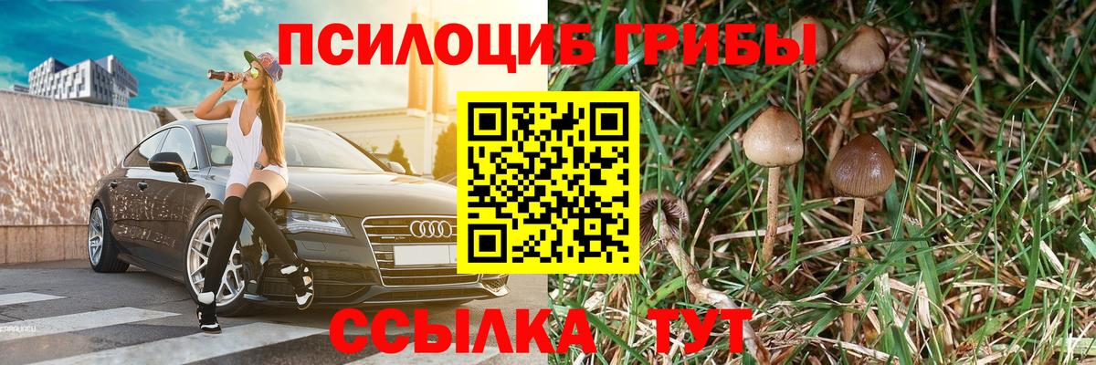 Псилоцибиновые грибы Cubensis Узловая