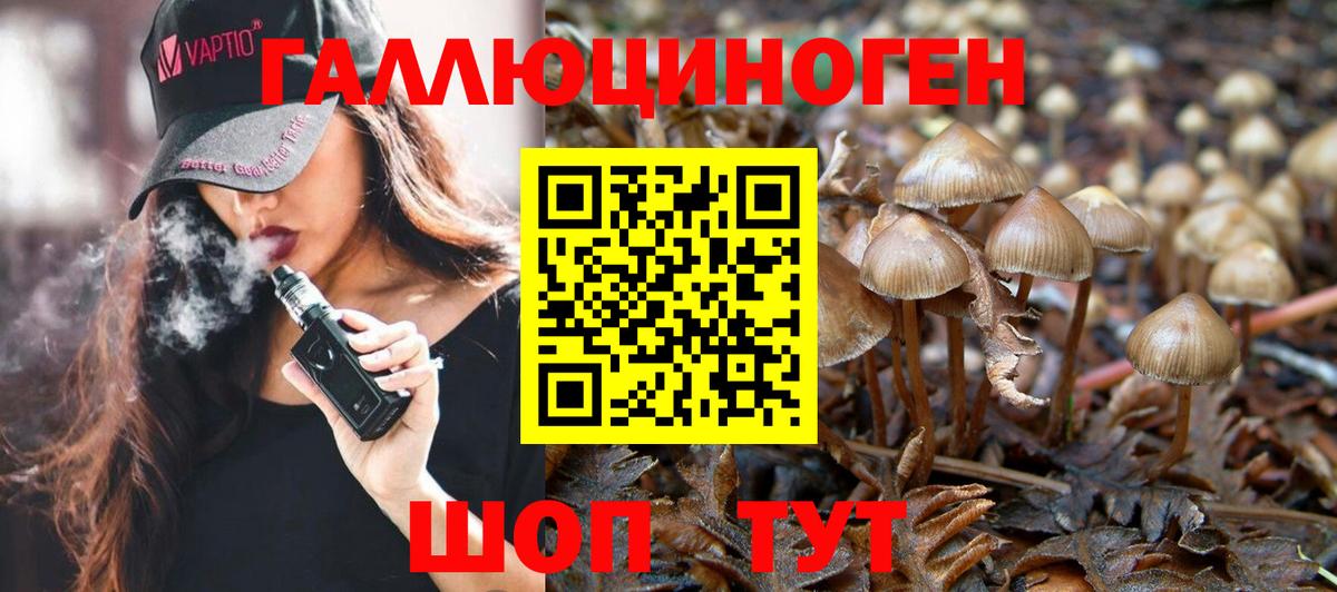 Узловая  Псилоцибиновые грибы Psilocybine cubensis  Вход с VPN 